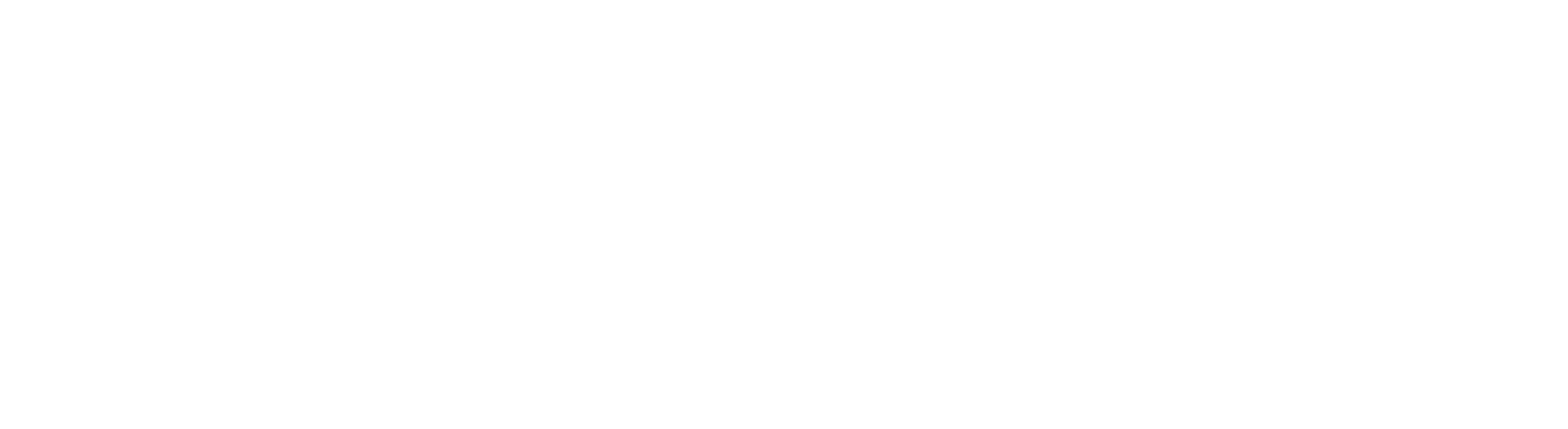 ROAM Druck + Verlag